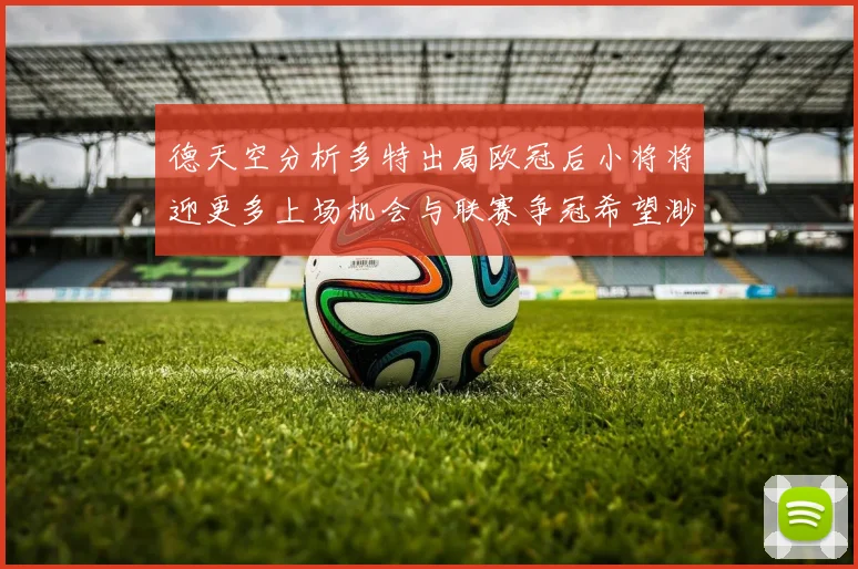 德天空分析多特出局欧冠后小将将迎更多上场机会与联赛争冠希望渺茫