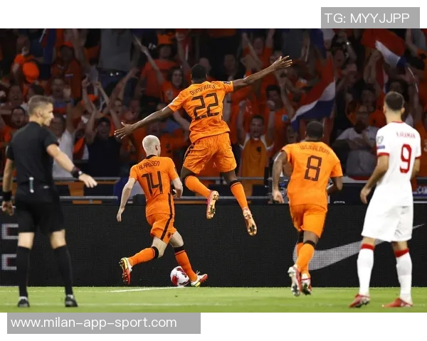 居莱尔展望未来努力助力土耳其重返世界杯舞台